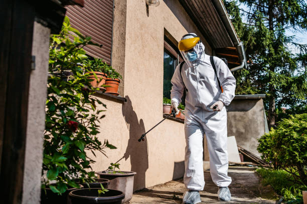 Best Local Pest Control Services  in Minneapolis, KS