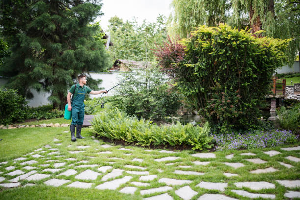 Best Pest Inspection Near Me  in Minneapolis, KS