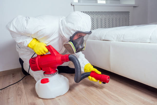 Best Flea Control Services  in Minneapolis, KS