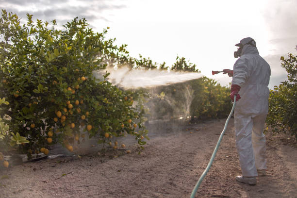 Best Exterminator Services  in Minneapolis, KS