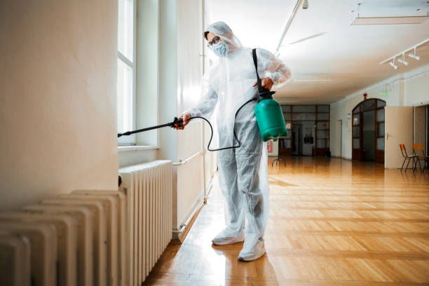 Reliable Minneapolis, KS Pest Control Solutions